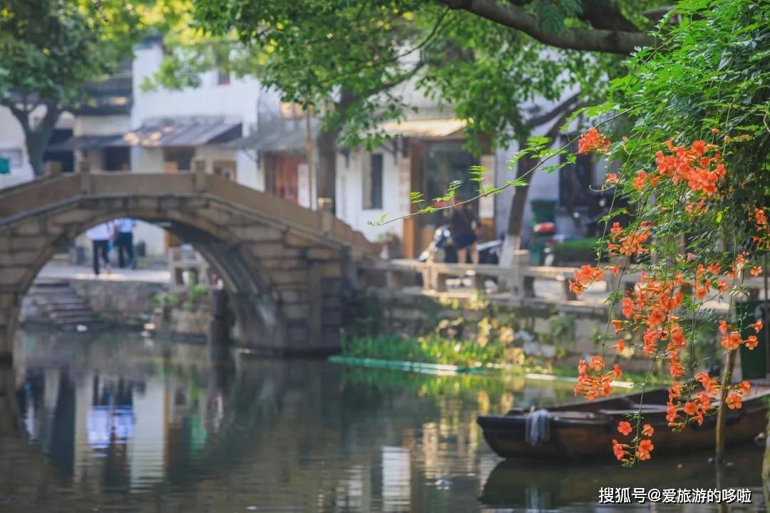 青海“青宏杏”首次被授予植物新品种权